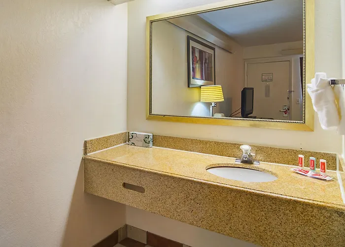 Econo - Chicago Southland Hotel 2*